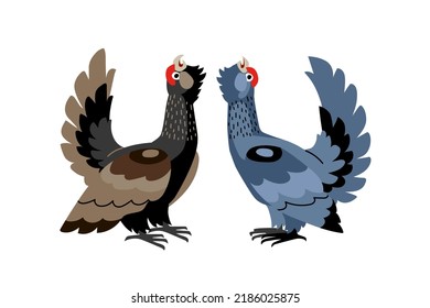 Forest birds. Decorative capercaillies with red eyebrows.  Color vector illustration isolated on a white background in a cartoon and flat design.