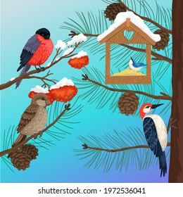 Forest birds, wintering sparrows, bullfinch, woodpecker, nuthatch on branches of different trees. Wooden feeder. Vector illustration of the animal world at winter.