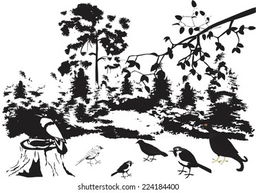 Forest birrd illustration in black white colors