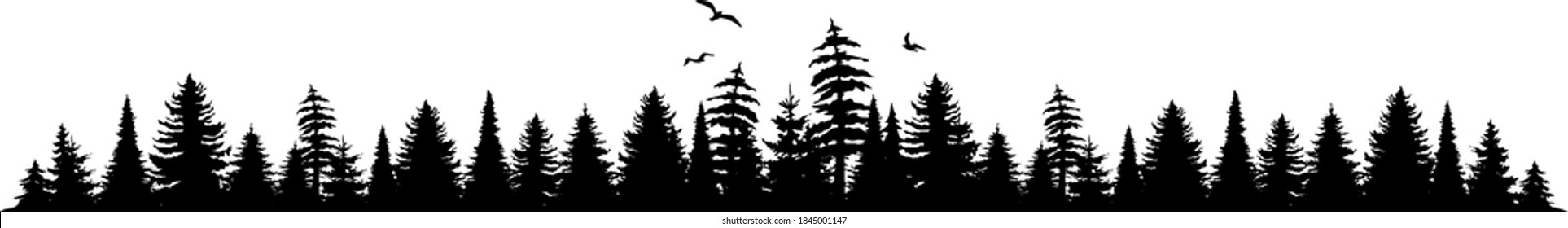 FOREST black silhouette background vector