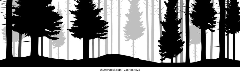 Forest black forest vector illustration banner misty fog forest landscape panorama adventure wildlife - Black gray silhouette of spruce and fir trees, isolated on white background 