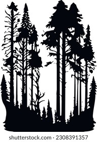 Forest Black and White Nature