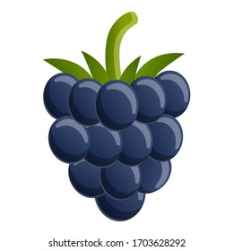 Forest blackberry icon. Cartoon of forest blackberry vector icon for web design isolated on white background