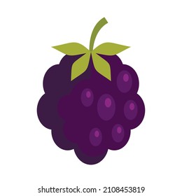 Forest blackberry icon. Flat illustration of forest blackberry vector icon isolated on white background