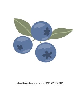 Forest blue berry. Sweet red berry. Ingredient for a dish. Summer dessert with vitamins. Diet healthy food. Flat vector illustration isolated on white background