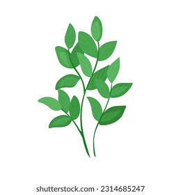 Forest botanical element of lingonberry, blueberry. A green plant, a bush in a cartoon style.