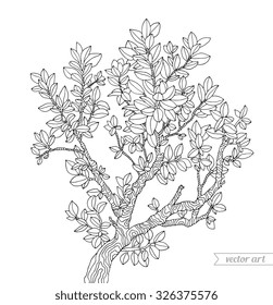 Forest boxwood tree branch with leaves. Vector. Hand drawn artwork. Zentangle. Bohemia concept for invitations, cards, tickets, branding, logo, label. Coloring book page for adults. Black and white