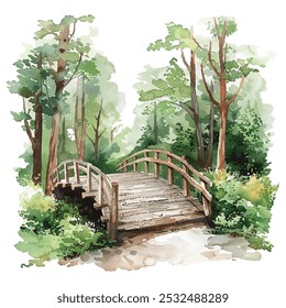 forest bridge vector illustration in watercolor style