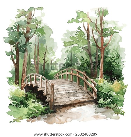 forest bridge vector illustration in watercolor style