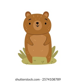 Forest brown bear standing on grass, cute toy for children. Vector funny childish costume, flat cartoon vector illustration of cute teddy bear mammal, lovely creature living in wild fauna