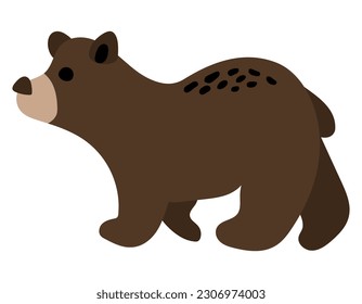 Forest brown bear. White background, isolate.