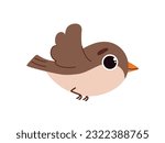 Forest brown bird vector concept. Forest dweller, fauna and wild life. Biology and ornithology. Animal with wings and feathers. Cartoon flat illustration isolated on white background