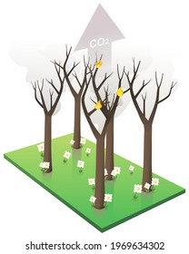 durch Feuer verbrannter Wald und CO2-Ausstoß (ausgeschnitten)