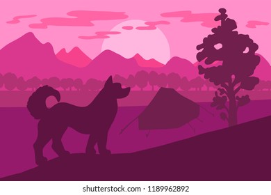 Forest camping with the best friend dog in the natural area at sunset. Vector