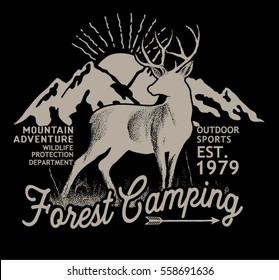 Forest camping.Vector graphic.