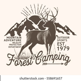 Forest camping.Vector graphic.