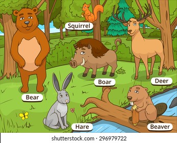 Forest cartoon animals with names educational game vector illustration