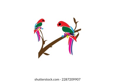 forest cartoon  birds beautiful art  jungle parrot icon
