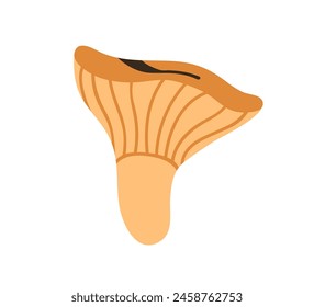 Forest chanterelle mushroom. Edible fungi. Cantharellus, fresh natural food, nutrition. Organic wild fall fungus, gilled cap and stipe. Flat vector illustration isolated on white background