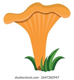 Cogumelo cantarelo da floresta na grama, ilustração de vetor comestível laranja, cogumelo em um fundo branco. Desenho botânico desenhado à mão em vetor.