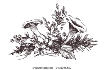 Forest chanterelle mushrooms with blueberry bushes, moss and autumn leaves. Graphic botanical illustration hand drawn in brown ink. For packaging, autumn festival, harvest. Isolated composition