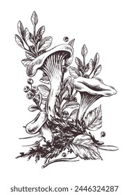 Forest chanterelle mushrooms with blueberry bushes, moss and autumn leaves. Graphic illustration hand drawn in black ink. Pre-made composition EPS vector.