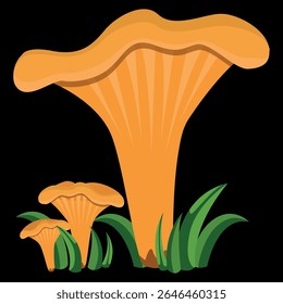 Cogumelos cantarelos da floresta na grama, ilustração de vetor comestível laranja de cogumelos de diferentes tamanhos em um fundo preto. Desenho botânico desenhado à mão em vetor.