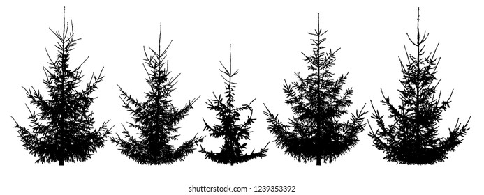 Forest Christmas trees, set. Isolated vector silhouette