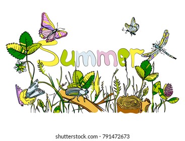 forest clearing, drawing with grass, flowers of clover, dandelion, butterflies, beetle and dragonfly