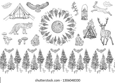 Forest collection: seamless border ornament, round frame, isolated objects. Spruce, fir tree, mushroom, berries, moon, owl, hare, deer, fox, tent, bonfire, camping lamp, crystals. Pattern, coloring.