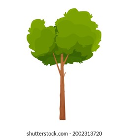 Forest comic tree, detailed and textured in cartoon style isolated on white background. Tall and bid with trunk and foliage.