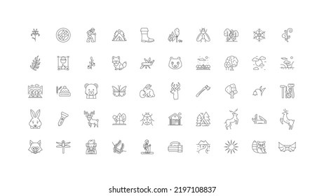 Ilustración de concepto forestal, iconos lineales, conjunto de signos de línea, colección de vectores