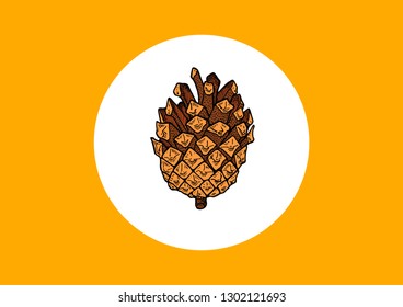 forest cone orange