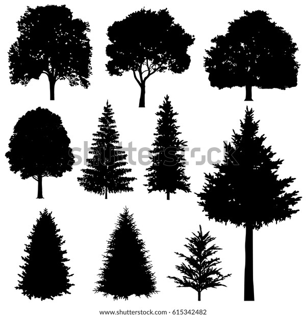 森林の針葉樹と落葉樹のベクター画像シルエットセット 常緑の木の植物 シルエット木のイラトス のベクター画像素材 ロイヤリティフリー