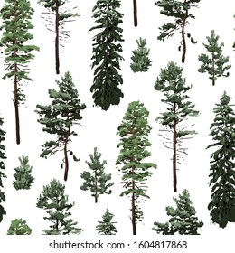 Forest of coniferous trees. Vector repeated seamless pattern