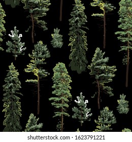 Forest of coniferous trees. Vector repeated seamless pattern