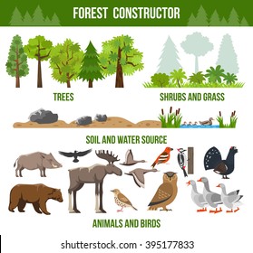 Forest constructor poster with trees shrubs and grass animals and birds source packs flat isolated vector illustration 