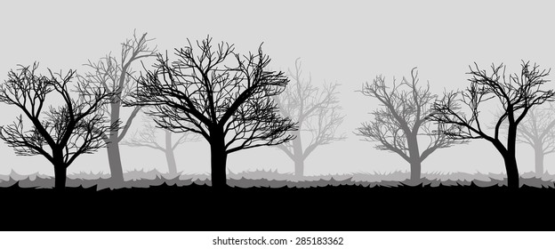 forest in the dark mist with silhouettes of the trees