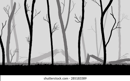 forest in the dark mist with silhouettes of the trees