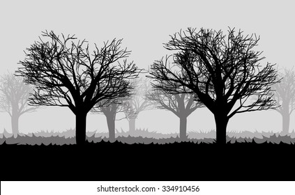 forest in the dark mist with silhouettes of the trees