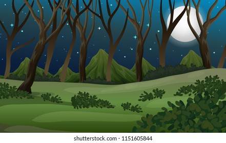 A forest at dark night illustration