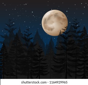 A forest dark night illustration