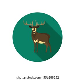 Forest deer color flat icon for web and mobile design