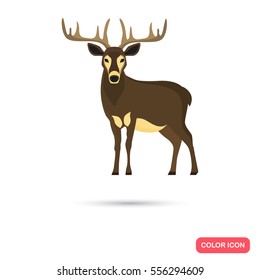 Forest deer color flat icon for web and mobile design