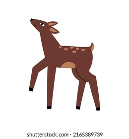 forest deer hand drawn in flat style. baby illustration