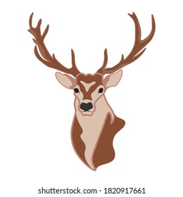 Forest deer on a white background. Vector illustration.