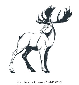 Forest deer vector illustration, logo, mascot, emblem isolated on white background  