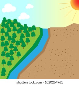 forest and desert
