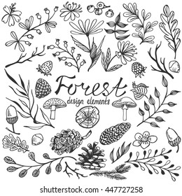 Forest design elements big collection. Hand drawn vector illustration. Set of natural objects in doodle vintage style.