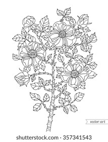 Forest dog rose plant. Botanical vintage vector. Zentangle. Coloring book page for adult. Hand drawn artwork. Bohemia concept for wedding invitation card, ticket, branding, logo label. Black and white